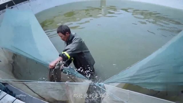 中国唯一捕鱼为生的民族，在冰封的河流上凿洞撒网，捕鱼举办全鱼宴 смотреть онлайн