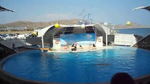 17.08.14 Клуб любителей истории Феодосии. Дельфинарий Коктебель сюжет 1 смотреть онлайн