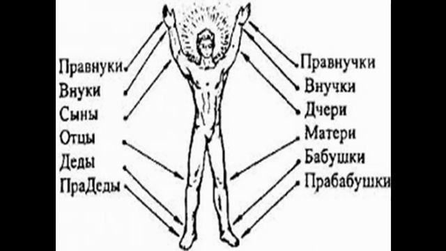 Человек - Основы строения _ Виктор Максименков смотреть онлайн