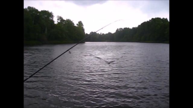 Щука и Окунь троллинг Волхов (#12) смотреть онлайн