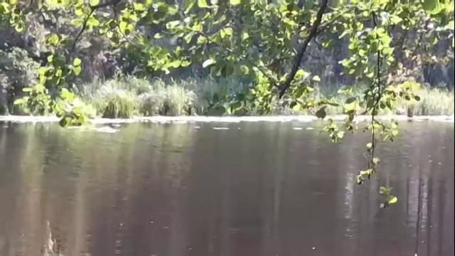 По родному краю. Мини - фильм. Совместная работа с сыном. смотреть онлайн