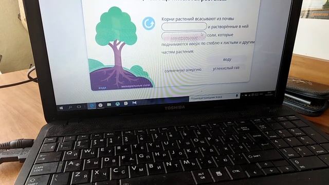 Учи.ру биология 6 класс (обучение прохождение) смотреть онлайн