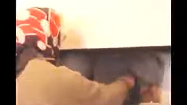 Поморские козули. СД смотреть онлайн