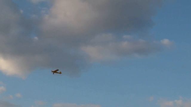 Flyzone Micro Super Cub RC Plane Review and Flight смотреть онлайн