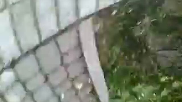 Трускавец лучший курорт Украины смотреть онлайн