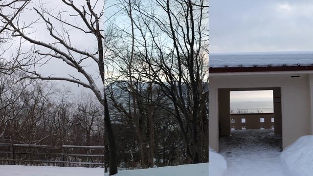🇯🇵 The ULTIMATE travel guide to Otaru, Hokkaido, Japan смотреть онлайн