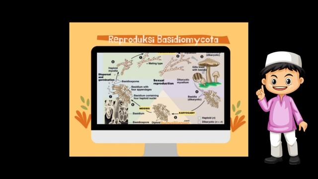 Pengenalan Mikologi dan Jamur kelas Basidiomycota смотреть онлайн