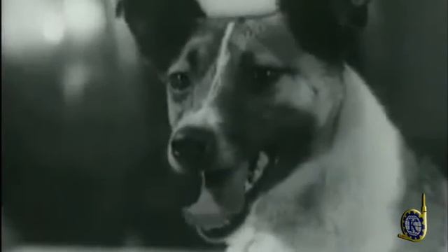 3 ноября 1957 года на околоземную орбиту вышел «Спутник 2» смотреть онлайн