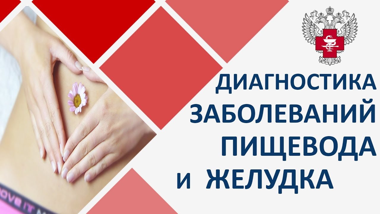 Гастроскопия желудка. Диагностика заболеваний пищевода и желудка с помощью гастроскопии смотреть онлайн