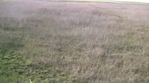 ✅Коп в Крыму. Находки по средневековью.✅?