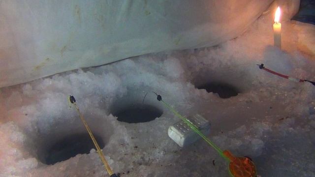 Дикий клев чебака и сороги Томь юрга смотреть онлайн