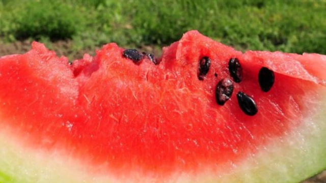 Стихи Николая Ваганова, муз. и исп. Павла Булычева, видео Александра Цаплина - Лето астраханское смотреть онлайн