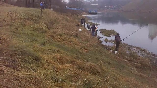 Настоящие рыбаки и на Новый год рыбачат. смотреть онлайн