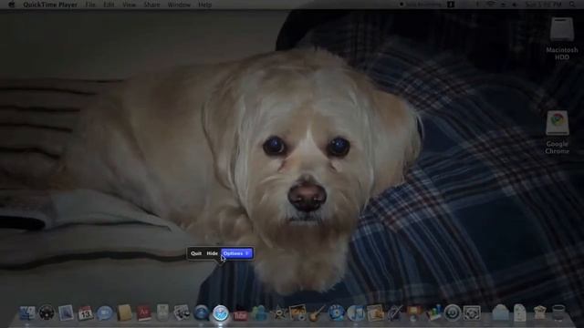 How to Get Google Chrome Beta for Mac смотреть онлайн