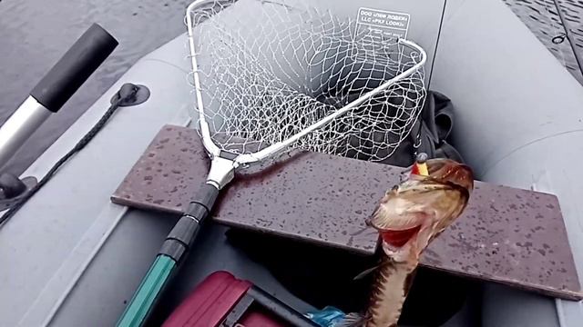 Первая рыбалка на спиннинг лето 2022 смотреть онлайн