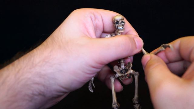 Kaiyodo Takeya Revoltech Gaikotsu Skeleton Ivory Version KT 005 Figure Toy Review 4K смотреть онлайн