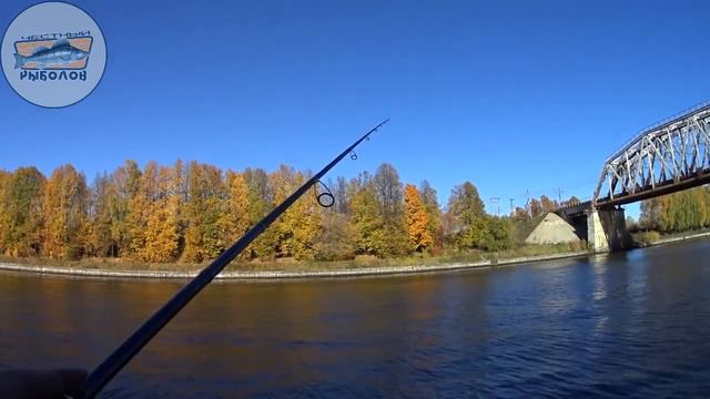 Быстрая рыбалка и рассуждение о чувствительности ZETRIX AMBITION   Z