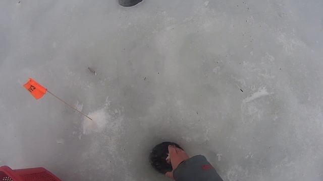 ЗИМНЯЯ РЫБАЛКА.СПОРТИВНАЯ ЛОВЛЯ БЕЛОЙ РЫБЫ НА МОРМЫШКУ В НАЧАЛЕ ВЕСНЫ смотреть онлайн