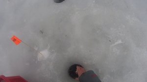 ЗИМНЯЯ РЫБАЛКА.СПОРТИВНАЯ ЛОВЛЯ БЕЛОЙ РЫБЫ НА МОРМЫШКУ В НАЧАЛЕ ВЕСНЫ