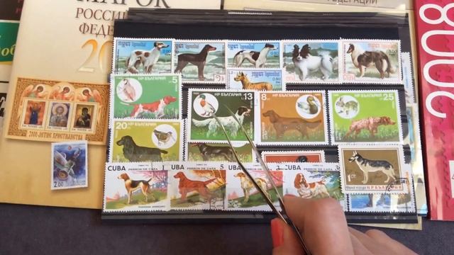 ФИЛАТЕЛИЯ: ЧМ по футболу и большая подборка фауны, марки от друзей сюрпризом! смотреть онлайн
