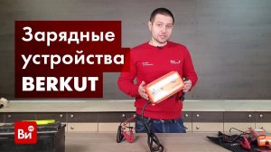 Обзор автоматических зарядных устройств BERKUT для АКБ SP