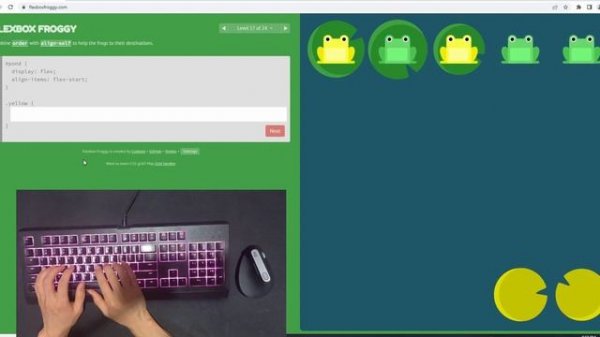 How to solve CSS Flexbox Froggy (All Levels)