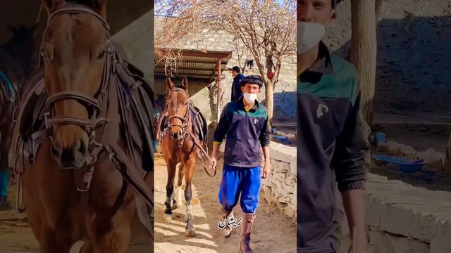 Raja Waseem Sajjad♥️#gilgitbaltistan #freestylepolo #horselover #kingofgames #pololovers #polonia смотреть онлайн