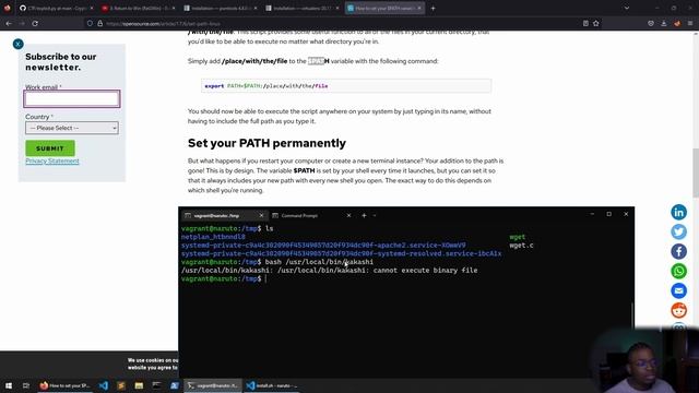 Setting up privilege escalation vector and cleaning up смотреть онлайн