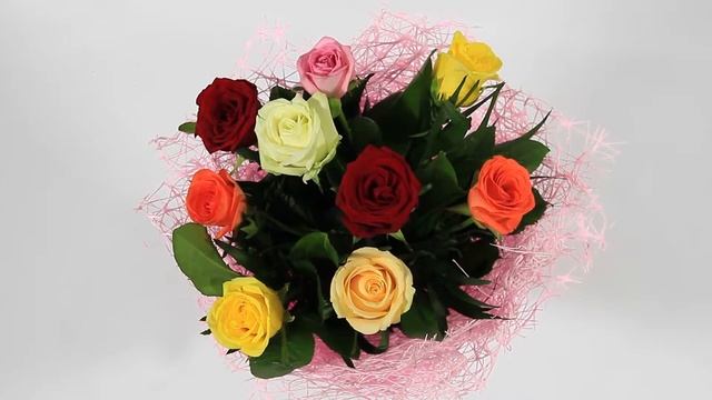 9 разноцветных роз смотреть онлайн