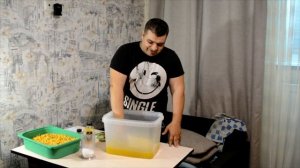 Лучшая кукуруза для карпа и амура своими руками. Ферментированная кукуруза.