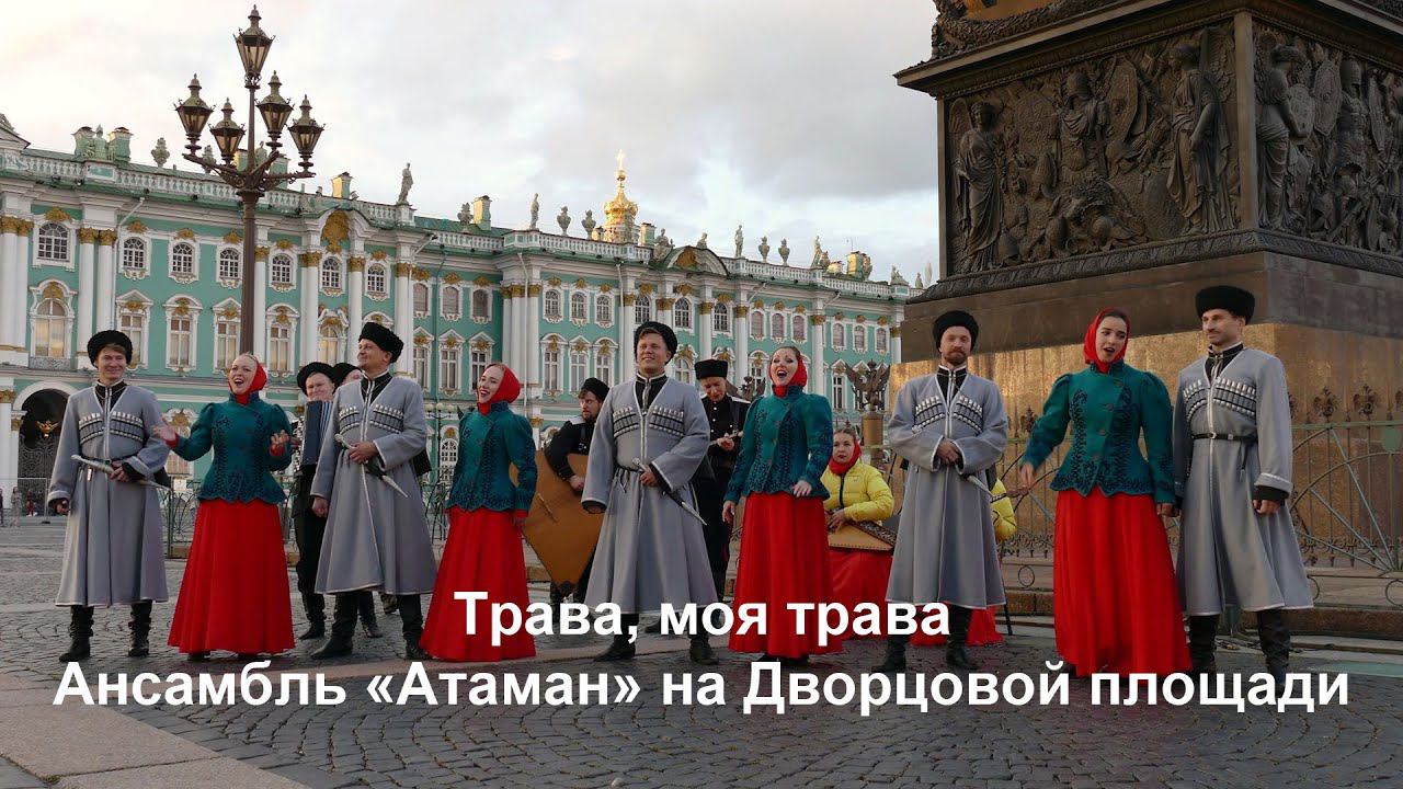 Трава, моя трава. Казачий ансамбль Атаман. смотреть онлайн