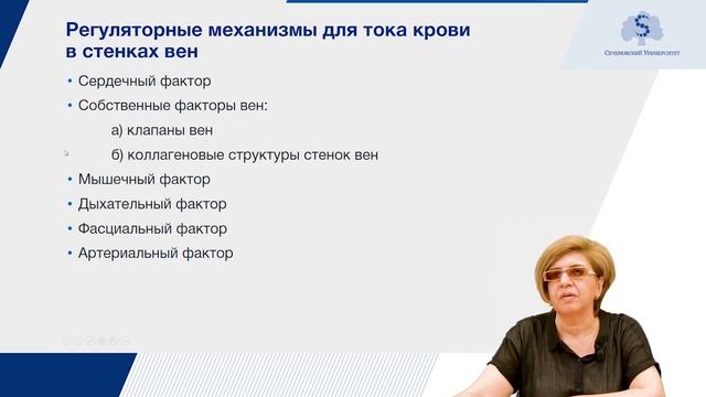 Функциональная анатомия венозной системы. Особенности кровообращения плода смотреть онлайн