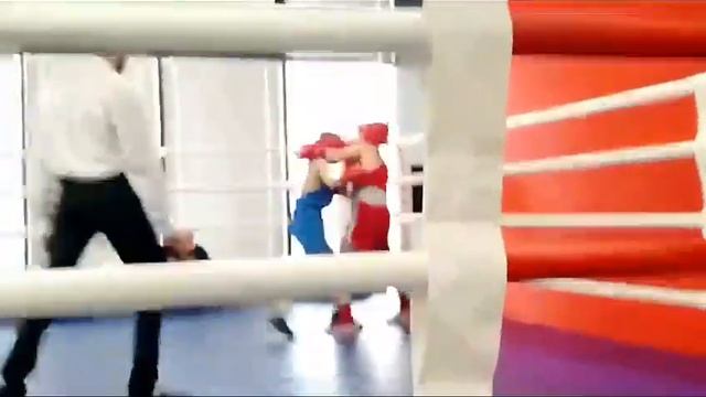 Бой 1 ноября 2023 года. смотреть онлайн