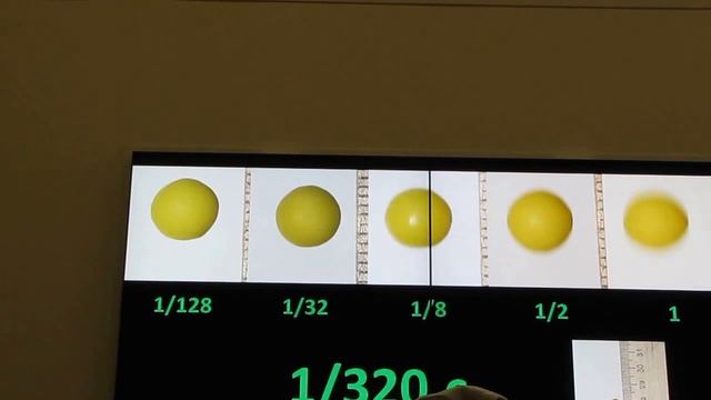 В. Николаева "Фотографирование насекомых в полёте". часть-2 смотреть онлайн