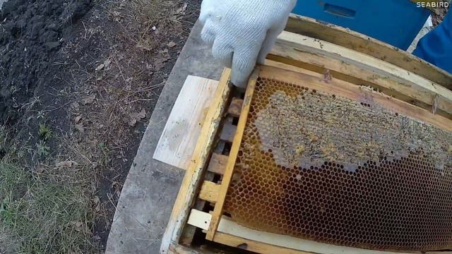 Залитые соты в октябре. Продолжение смотреть онлайн