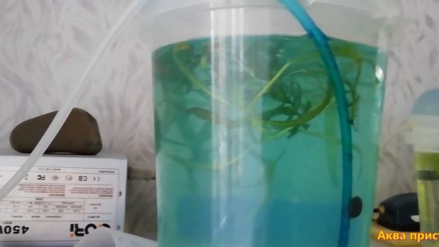 Новый самодельный фильтр для аквариума смотреть онлайн