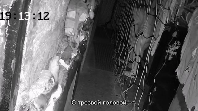 Лабиринт страха СПБ смотреть онлайн