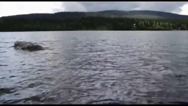 Рыбалка с Нормундом Грабовскисом шведский микроджиг смотреть онлайн