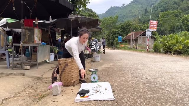 Harvesting Longan Bring to the market to sell - Cooking - Vàng Hoa смотреть онлайн