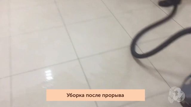 Уборка сложных случаев (после пожара, после потопа, после смерти и др.) смотреть онлайн