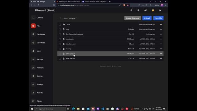 How Upload Files Replit to Host смотреть онлайн