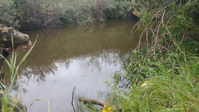 Щука и карась 02.08.2020 смотреть онлайн