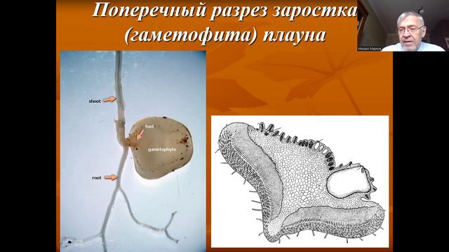 Урок 6 смотреть онлайн