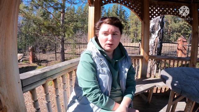 Замер окон. Березовый сок есть! смотреть онлайн