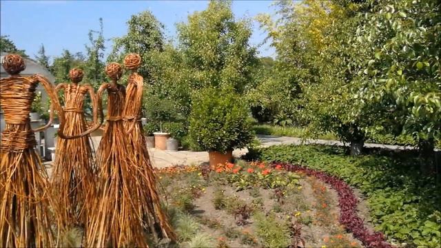 хочется цветами любоваться, часть 5 смотреть онлайн