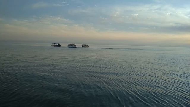 Катамараны танцуют на море.. смотреть онлайн