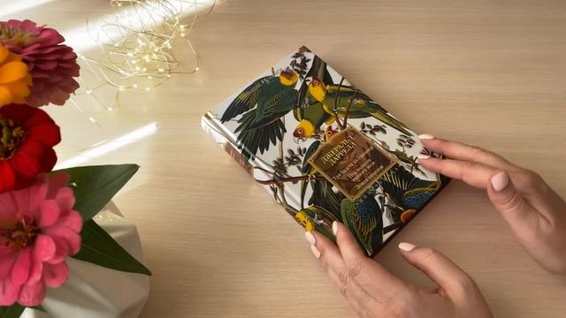 Книжные полки// "Азбуч"ные истории? смотреть онлайн