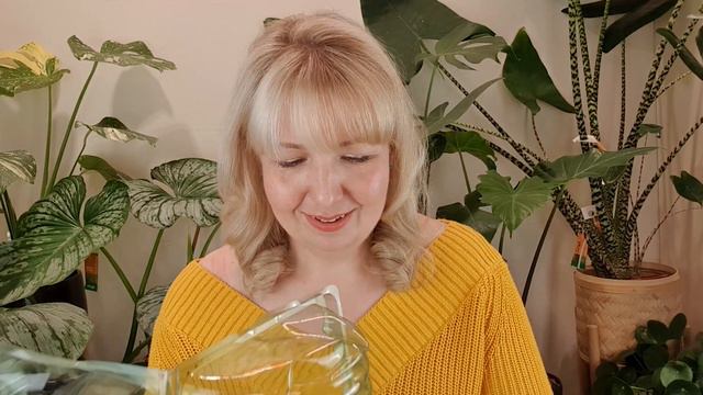 ULTIMITE RARE PLANT WISHLIST UNBOXING | Rare Plant Haul смотреть онлайн