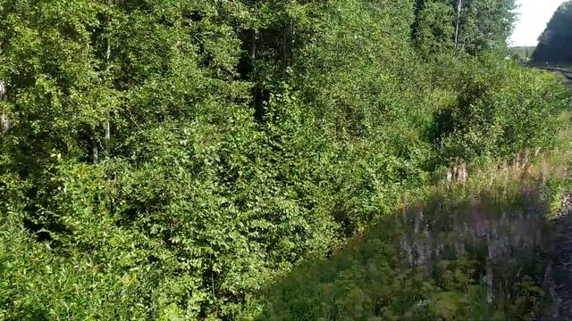 Карелия из будки машиниста паровоза смотреть онлайн