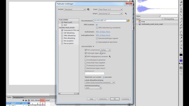 10. Werken met Adobe Flash: Publiceren смотреть онлайн